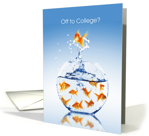 Off to College Congratulations Goldfish Bowl card (1735262)