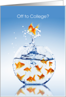 Off to College Congratulations Goldfish Bowl card