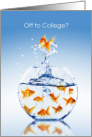 Off to College Congratulations Goldfish Bowl card