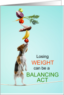 Losing Weight Encouragement Funny Dog Veggies card