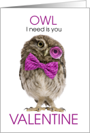 OWL I Need is You...