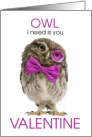 OWL I Need is You Valentine Cute Owl in a Bowtie card