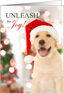 Unleash the Joy Golden Retriever Christmas card