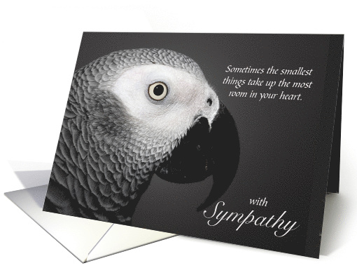 Pet Sympathy Loss of an African Grey Parrot card (1743898)