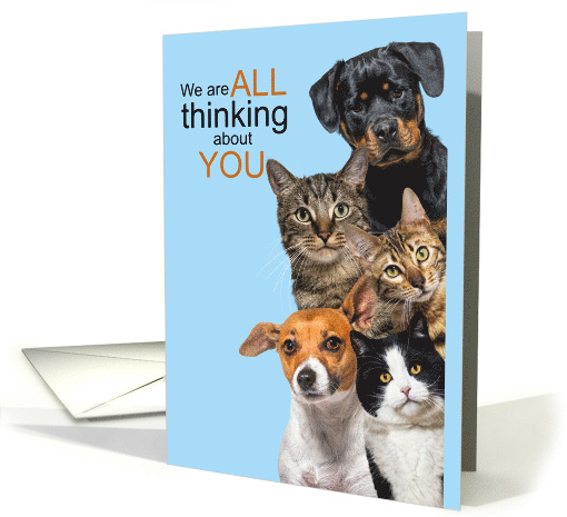 Thinking About You Cute Cats and Dogs card (1747966)