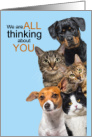 Thinking About You Cute Cats and Dogs card