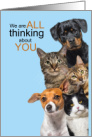 Thinking About You Cute Cats and Dogs card