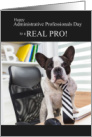 Funny Administrative Professionals Day Boston Terrier Dog card