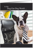 Boss’s Day Funny Boston Terrier Dog in a Necktie card