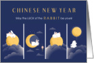 Year of the Rabbit Chinese New Year Moon and Bunnies card