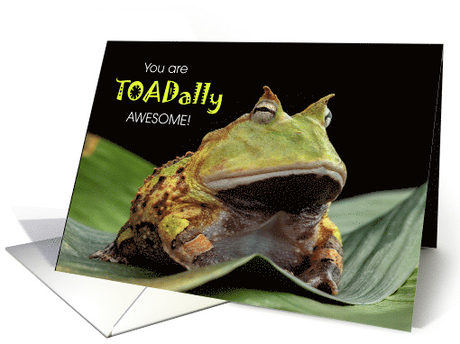 12 Step Anniversary Congratulations TOADally Awesome card (1752392)