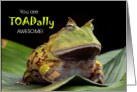 12 Step Anniversary Congratulations TOADally Awesome card