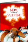 Pet Mom from the Dog Valentine’s Day Basset Hound card