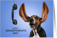 Grandparents Day from the Granddog Basset Hound card