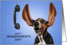 Grandparents Day from the Granddog Basset Hound card