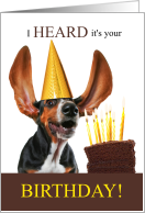 Basset Hound Birthday Dog with Chocolate Cake card