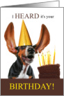 Basset Hound Birthday Dog with Chocolate Cake card