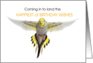 Grey Budgeriar Parakeet Birthday Wishes card