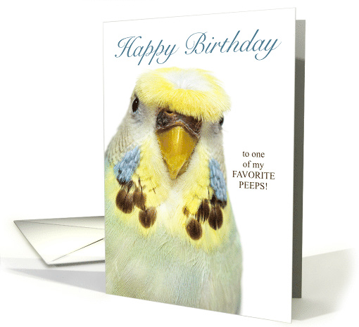 Birthday Peeps Grey Crested Budgerigar Parakeet card (1757132)