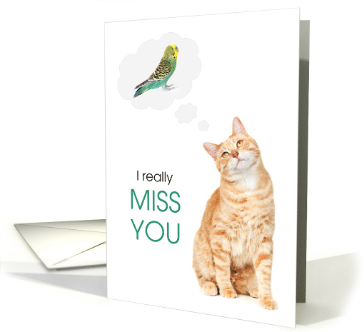 Miss You Cute Orange Tabby and Parakeet card (1757136)
