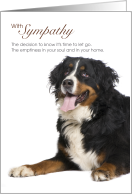 Bernese Mountain Dog Pet Sympathy Poem card