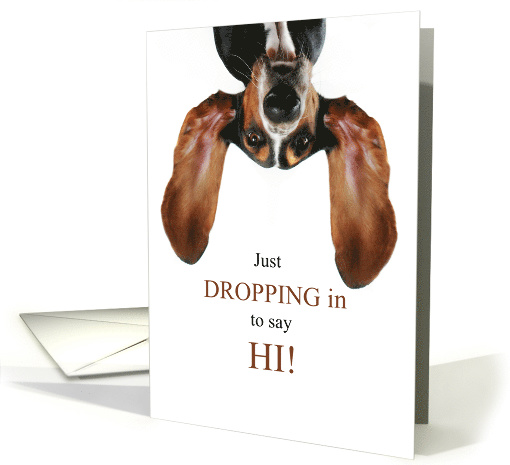 Thinking of You Basset Hound Dog Dropping In card (1763840)