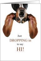 Thinking of You Basset Hound Dog Dropping In card