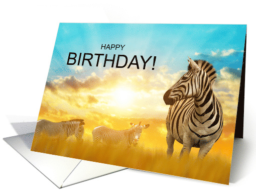 Birthday Zebra Safari Theme for Wild Wishes card (1765144)