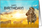 Birthday Zebra Safari Theme for Wild Wishes card