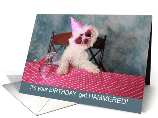 Funny Birthday Bichon Frise Get Hammered card (1775764)