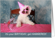 Funny Birthday Bichon Frise Get Hammered card