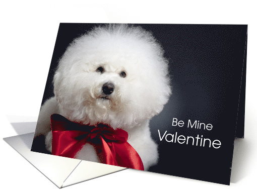 Bichon Frise Valentine's Day Dog with Red Bow card (1775772)
