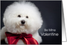 Bichon Frise Valentine’s Day Dog with Red Bow card