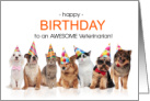 Veterinarian Birthday Line of Pets in Party Hats card