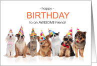 for Friend Birthday Line of Pets in Party Hats card