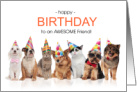 for Friend Birthday Line of Pets in Party Hats card
