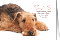 Airedale Terrier Dog Pet Sympathy Loss of a Dog card