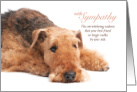 Airedale Terrier Dog Pet Sympathy Loss of a Dog card