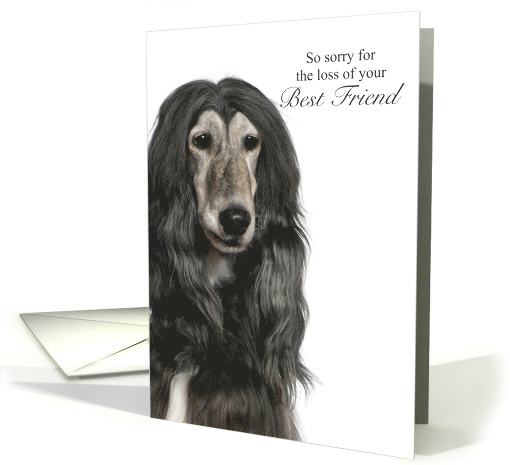 Afghan Hound Pet Sympathy Loss of a Dog card (1796344)