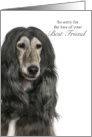 Afghan Hound Pet Sympathy Loss of a Dog card