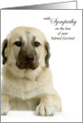 Anatolian Shepherd Pet Sympathy Loss of a Dog card