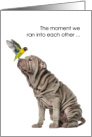 Funny Friendship Shar Pei Dog and Nanday Conure Parrot card