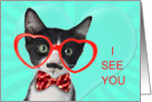 Funny Cat Lover Valentine Tuxedo Kitten in Glasses card