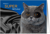 Funny Super Hero Birthday Cat British Shorthair card