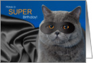 Funny Super Hero Birthday Cat British Shorthair card