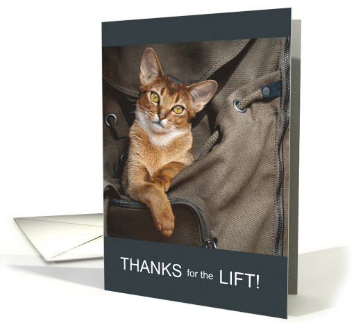 Thanks for the Ride Abyssinian Cat in a Duffel Bag card (1831412)