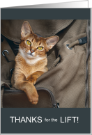 Thanks for the Ride Abyssinian Cat in a Duffel Bag card
