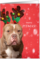 Merry PITmas Pit Bull Lover Christmas Dog card