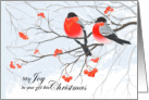 Wild Bird Pair on a Berry Branch Christmas Joy card