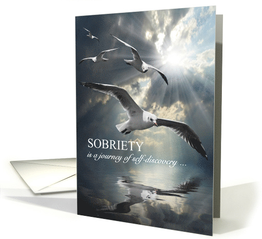 Sobriety 12 Step Journey of Self Discovery Seagulls card (1869926)